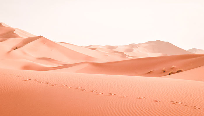 Beautiful Desert Wallpaper